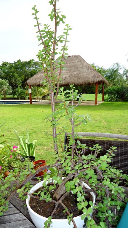 B&B Mom'S House Puerto Aventuras Exterior foto